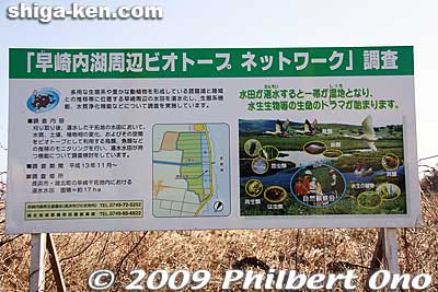 Sign explaining about Hayasaki (Hayazaki) Naiko Biotope. It was an attached lake to Lake Biwa until it was filled in as reclaimed land in 1970.
Keywords: shiga nagahama hayasaki hayazaki naiko attached lake biotope