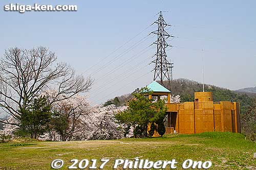 Top of Mt. Toragozen
Keywords: shiga nagahama Torahime Toragozen sakura cherry blossoms flowers