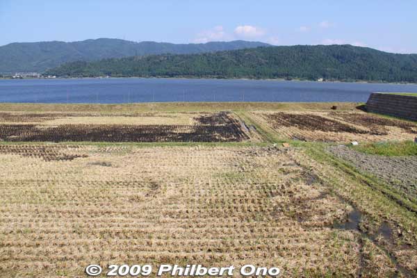 Rice paddies in late Sept.
Keywords: shiga nagahama lake yogo