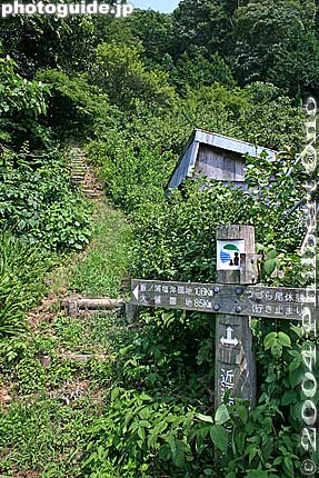 Trail going up the mountain.
Keywords: shiga prefecture nishi azai sugaura