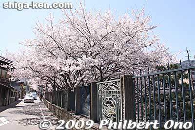 The Biwako Sosui or Lake Biwa Canal in Otsu is also noted for cherry blossoms.
Keywords: shiga prefecture otsu biwako sosui canal lake biwa cherry blossoms sakura otsusakura