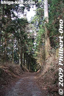 Path to Ruri-do, the only building that was not torched by Oda Nobunaga in the 16th century. Unfortunately, it was too far for me to reach.
Keywords: shiga otsu enryakuji buddhist temple tendai 