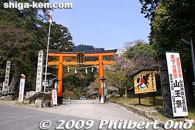 Torii at Hiyoshi Taisha Shrine. Two of the shrine's main structures are National Treasures.
Keywords: shiga otsu shinto hiyoshi taisha shrine torii 