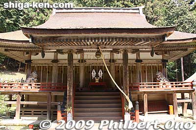 Usa-gu Shrine Honden 宇佐宮　本殿
Keywords: shiga otsu shinto hiyoshi taisha shrine 