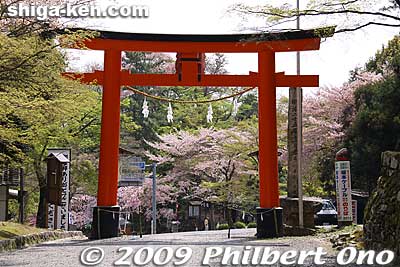 Keywords: shiga otsu shinto hiyoshi taisha shrine 
