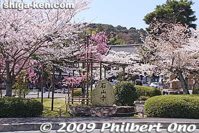 Ishiyama-dera stone marker during sakura season in April.
Keywords: shiga otsu ishiyama-dera temple cherry blossoms sakura
