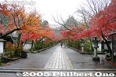 After passing through Todamon Gate, there is the Sando path leading to the temple complex. See fall leaves in Nov. 参道
Keywords: shiga otsu ishiyama-dera temple