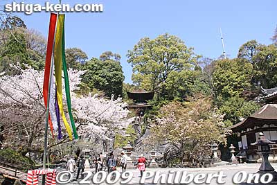 This is what you see at the top of the stone steps. Founded in 749, Ishiyama-dera, belonging to the Shingon Buddhist Sect, is the 13th Temple of the Saigoku Pilgrimage.
Keywords: shiga otsu ishiyama-dera temple cherry blossoms sakura