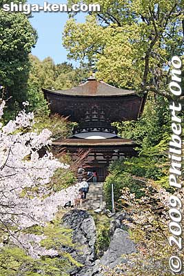 Keywords: shiga otsu ishiyama-dera temple cherry blossoms sakura