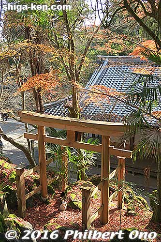 Torii at a Buddhist temple
Keywords: shiga otsu ishiyama-dera buddhist temple autumn leaves fall
