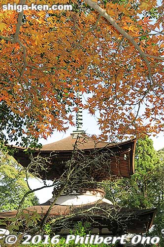 Tahoto in autumn
Keywords: shiga otsu ishiyama-dera buddhist temple