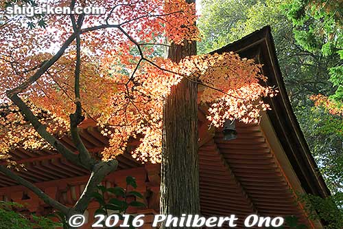 Keywords: shiga otsu ishiyama-dera buddhist temple autumn leaves fall