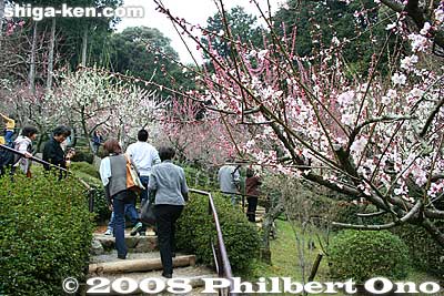 Ishiyama-dera also has a grove of plum blossoms which bloom in Feb.
Keywords: shiga otsu ishiyama-dera buddhist temple plum blossoms