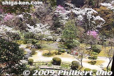 Japanese garden
Keywords: shiga otsu ishiyama-dera buddhist temple cherry blossoms sakura