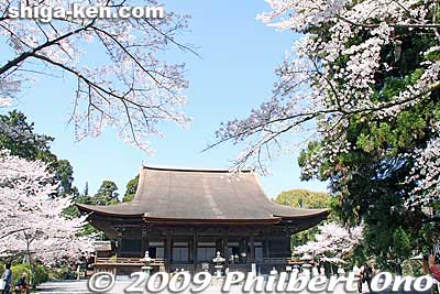 Kondo Hall and cherry blossoms.
Keywords: shiga otsu miidera onjoji temple tendai buddhist sect national treasure