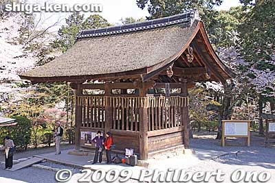 Next to the Kondo hall is the famous Mii Bell Pavilion (Mii-no-Bansho). It is one of the Omi Hakkei (Eight Views of Omi) depicted in ukiyoe woodblock prints. Dating from the Momoyama period, it is an Important Cultural Property.
Keywords: shiga otsu miidera onjoji temple tendai buddhist sect cherry blossoms sakura 
