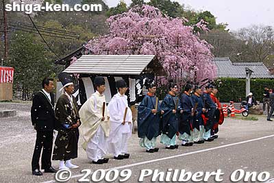 On April 12, they raucously bring down portable shrines from Mt. Hachioji nearby in the evening. On April 13, they hold a series of ceremonies including this one called the Tea Offering Ceremony at 11 am. 献茶祭
Keywords: shiga otsu sanno sai matsuri festival 