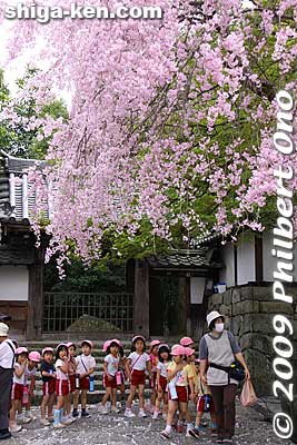 Spectators come to see their classmates in the procession.
Keywords: shiga otsu sanno sai matsuri festival 