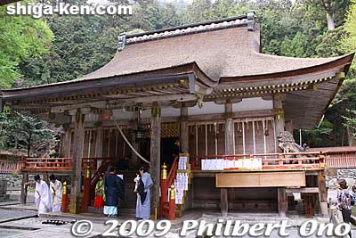 Hiyoshi Taisha's Nishi Hongu (West) Shrine. This building is a National Treasure. 西本宮
Keywords: shiga otsu sanno sai matsuri festival 