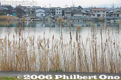 Seta River and reeds
Keywords: shiga otsu seta river reeds