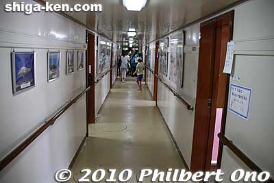 This corridor has photos of native Lake Biwa fish on the wall.
Keywords: shiga otsu uminoko floating school boat ship lake biwako 