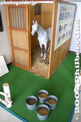 Horse stable model
Keywords: shiga ritto jra training center horse race racing thoroughbred