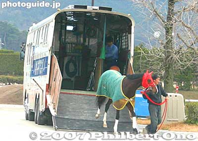 Unloaded a horse after a race. Horse trucks often arrived. One truck usually holds up to four horses.
Keywords: shiga ritto jra training center horse race racing thoroughbred