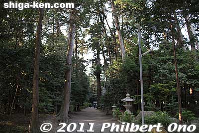 Short, wooded path to the Higashi Honden shrine.
Keywords: shiga ryuo-cho ryuou namura shrine jinja