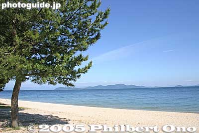 Green pine and white sand of Omi-Maiko, Lake Biwa.
Keywords: shiga otsu omi-maiko omatsu japanlake
