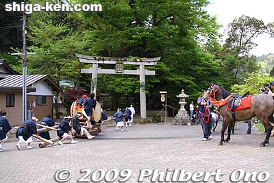 Totonomiya Shrine
Keywords: shiga taga-cho taisha matsuri festival horses 
