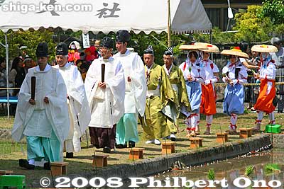 Priests and taume girls enter the paddy.
Keywords: shiga taga-cho taga taisha shrine shinto festival matsuri rice seedlings paddy paddies planting priests