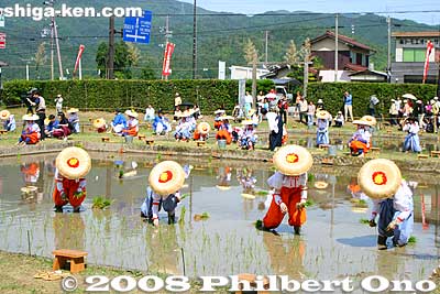 The rice paddy is not in a scenic location. Being next to a busy road, it was quite noisy.
Keywords: shiga taga-cho taga taisha shrine shinto festival matsuri rice seedlings paddy paddies planting
