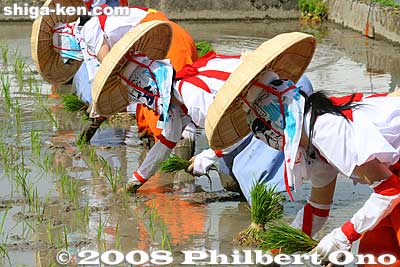 Also see my [url=http://www.youtube.com/watch?v=mbZbS9dYZmI]YouTube video here.[/url]
Keywords: shiga taga-cho taga taisha shrine shinto festival matsuri rice seedlings paddy paddies planting matsuri6