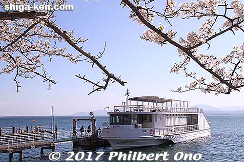 megumi at Kaizu-Osaki Port.
Keywords: shiga takashima kaizu-osaki cherry blossom cruise boat sakura