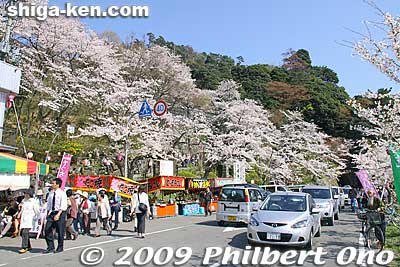 Soon you will reach this rest stop and the Kaizu-Osaki boat pier. 
Keywords: shiga takashima makino-cho kaizu-osaki cherry blossoms sakura flowers lake biwa shigabestsakura