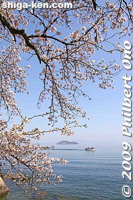 These sunny photos were taken in April 2009 during a long string of sunny days right during the full bloom period.
Keywords: shiga takashima makino-cho kaizu-osaki cherry blossoms sakura flowers lake biwa 