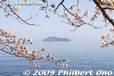 Chikubushima island and cherry blossoms at Kaizu-Osaki, Lake Biwa.
Keywords: shiga takashima makino-cho kaizu-osaki cherry blossoms sakura flowers lake biwa japanlake