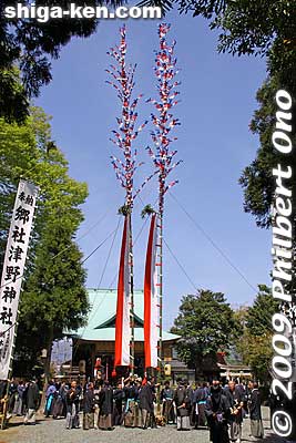 Tall bamboo poles called O-nobori at Tsuno Shrine for the Kawakami Matsuri in Imazu, Takashima. They are about 20 meters tall. 大幟
Keywords: shiga takashima imazu kawakami matsuri festival shigabestmatsuri