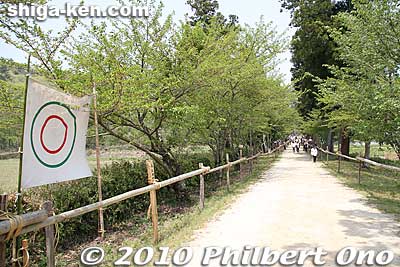The path to the shrine also serves as the horse track (baba 馬場) for galloping horses (yabusame).
Keywords: shiga takashima shichikawa matsuri festival 