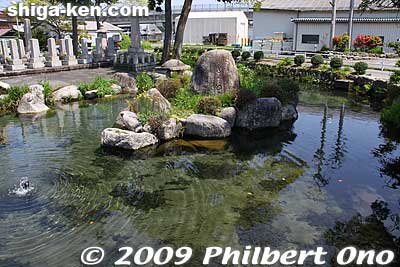 Shodenji temple also has a spring feeding this pond with various fish.
Keywords: shiga takashima shin-asahi harie 