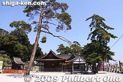 Side view of Shirahige Shrine.
Keywords: shiga takashima takashima-cho shirahige shinto shrine 