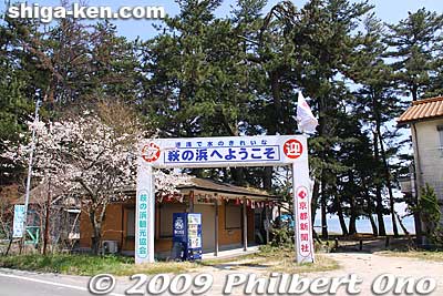 Entrance to Haginohama Beach. 萩の浜
Keywords: shiga takashima takashima-cho lake biwa beach shore water 