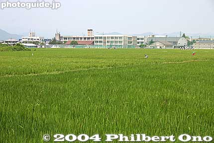 Torahime High School in the distance, next to rice paddies.
Keywords: shiga nagahama torahime