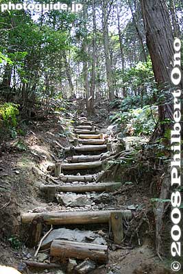Sometimes log steps are provided.
Keywords: shiga yasu mt. mikami mountain hiking forest trees