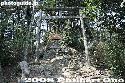Small torii and shrine.
Keywords: shiga yasu mt. mikami mountain hiking forest trees torii