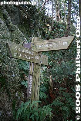 1.4 km to Karyoku Koen Park
Keywords: shiga yasu mt. mikami mountain hiking forest trees