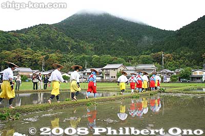 At 10:30 am when the ceremony was over, they proceeded to the rice paddies. Four groups of planters and dancers went to the four paddies.
Keywords: shiga yasu rice paddy paddies planting festival o-taue matsuri