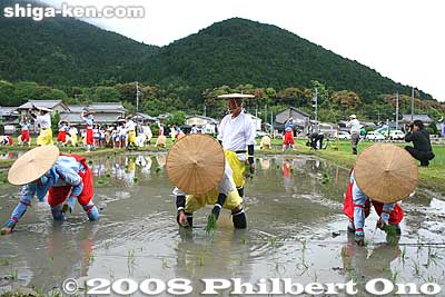 For the Daijosai, another sacred rice paddy is also selected to the west of Kyoto. That paddy is called Suki Saiden. In 1928, it was located in Fukuoka Pref.
Keywords: shiga yasu rice paddy paddies planting festival o-taue matsuri
