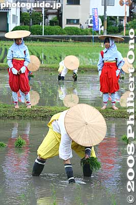 Keywords: shiga yasu rice paddy paddies planting festival o-taue matsuri