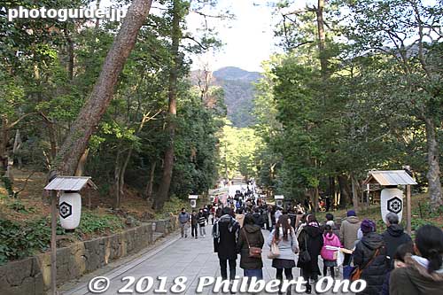 Sando path to the shrine. 参道
Keywords: shimane Izumo Taisha Shrine